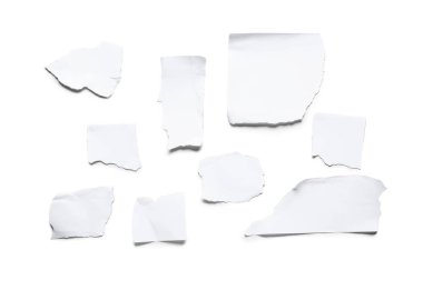 Yırtık kağıt parçaları beyaz arkaplanda izole