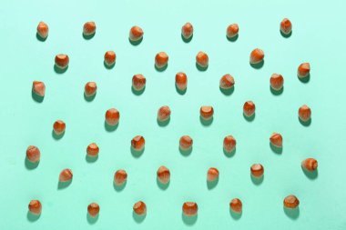 Mavi arka planda kabuklu fındıklar, yakın plan.