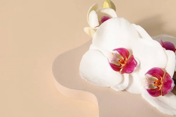 Decorative Plaster Podium Beautiful Orchid Flowers Beige Background — Stock Photo, Image