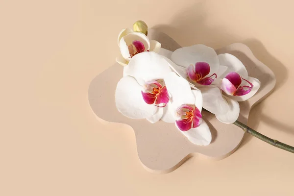 Podium Plâtre Décoratif Belles Fleurs Orchidée Sur Fond Beige — Photo