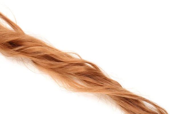 Beyaz Arka Planda Kıvırcık Kızıl Saçlar — Stok fotoğraf