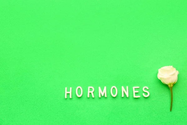 Word Hormones Rose Green Background — Stock Photo, Image