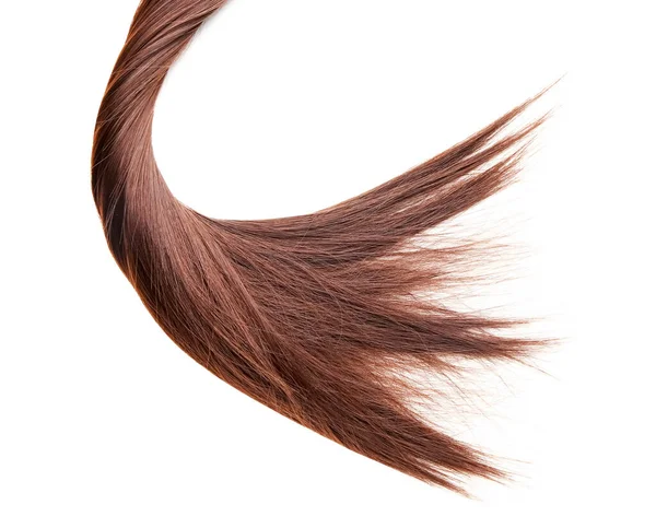 Hnědé Vlasy Pramen Bílém Pozadí — Stock fotografie