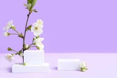 Eflatun arka planda dekoratif podyumlar ve çiçek açan şubeler