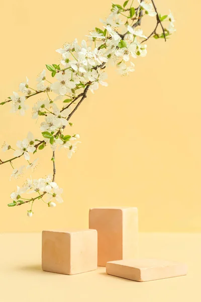 Decorative Podiums Blooming Branch Beige Background — Stock Photo, Image