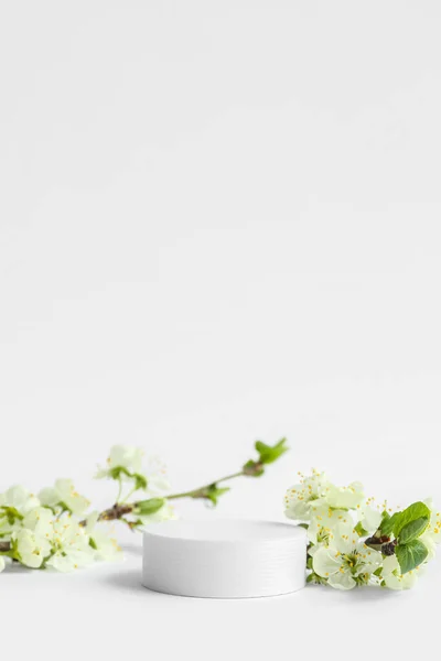 Decorative Podiums Blooming Branches White Background — Stock Photo, Image