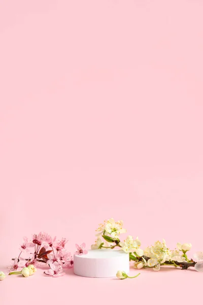 Podio Decorativo Ramas Florecientes Sobre Fondo Rosa — Foto de Stock
