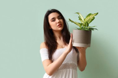 Young woman with houseplant on green background