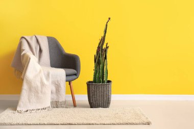 Sarı duvarın yanında, kaktüs ve ekoseli şık bir koltuk.