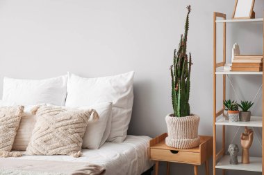 Büyük kaktüslü sıcak yatak odasının içi.