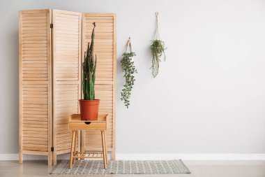 Masada büyük kaktüsler, ev bitkileri ve beyaz duvarın yanında katlanır ekran.