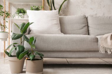 Oturma odasındaki kanepenin yanındaki yeşil bitkiler.