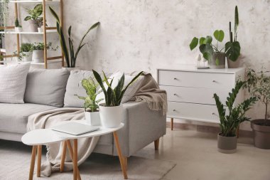 Kanepesi, masası ve yeşil çiçekleri olan aydınlık oturma odasının içinde.