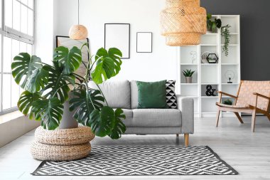 Aydınlık oturma odasının içinde kanepe, raf ünitesi ve Monstera bitkisi var.