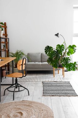 Kanepesi, işyeri ve Monstera bitkisi olan ışık ofisinin içinde.