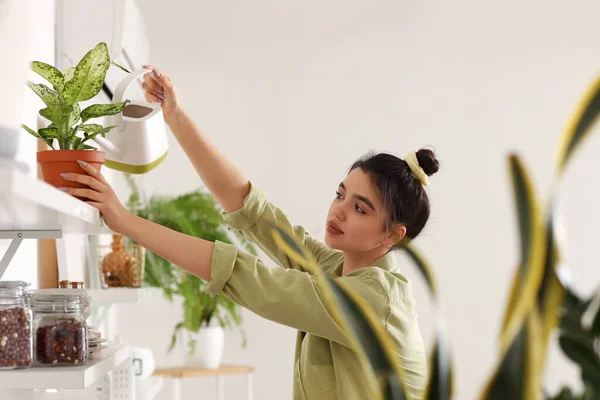Junge Frau Gießt Grüne Zimmerpflanze Auf Regal Küche — Stockfoto