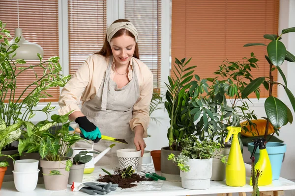 Young Woman Transplanting Green Houseplants Home — Stock Photo, Image