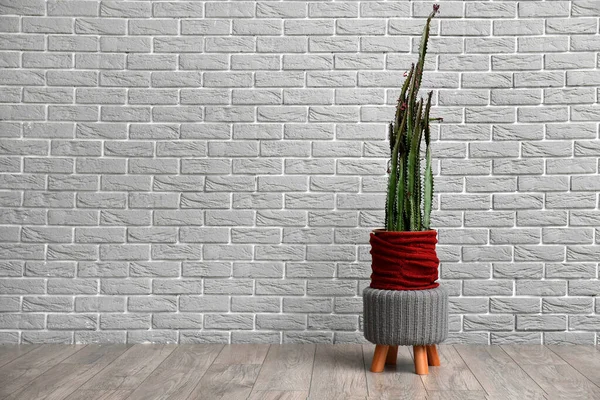 Pot Avec Gros Cactus Sur Pouf Près Mur Briques Grises — Photo