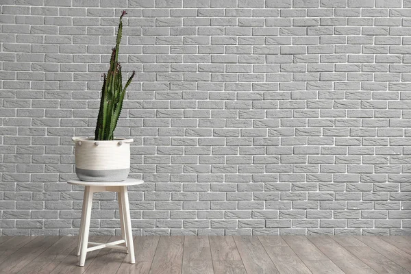 Pot Big Cactus Stool Grey Brick Wall — Stock Photo, Image