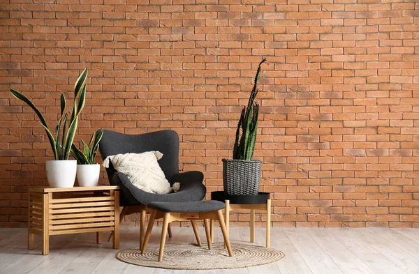 Cozy Armchair Footstool Houseplants Big Cactus Brown Brick Wall — Stock Photo, Image
