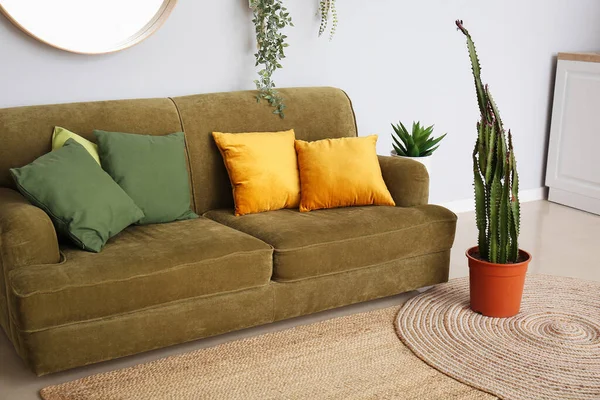 舒适的沙发 巨大的仙人掌和室内植物的现代客厅的内部 — 图库照片