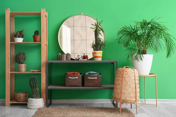 Innenraum Mit Großem Kaktus Auf Tisch Zimmerpflanzen Spiegel Und Regal — Stockfoto