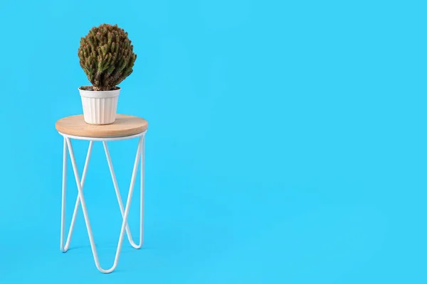 Tabouret Avec Cactus Pot Sur Fond Bleu — Photo