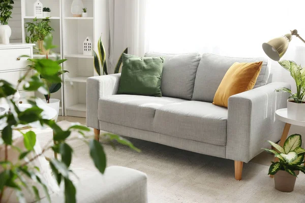 Interior Light Living Room Sofa Green Houseplants — Stock Photo, Image