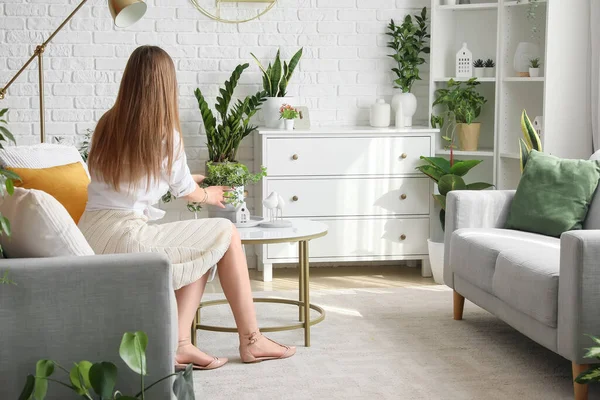 Young Woman Green Houseplant Table Living Room — Stock Photo, Image