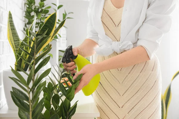 stock image Young woman spraying water onto green houseplant at home, closeup