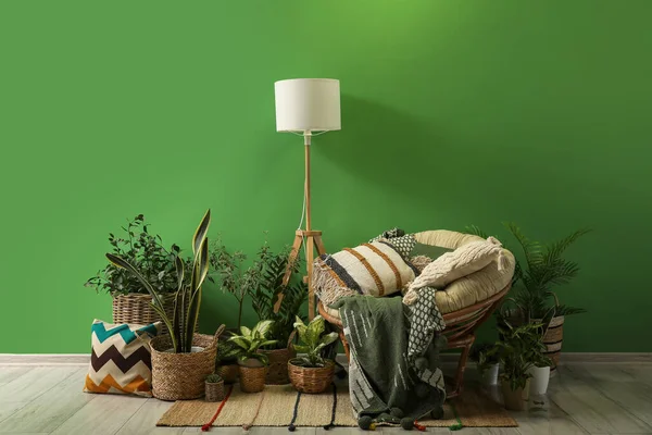 Кресло Лампой Комнатными Растениями Возле Зеленой Стены Номере — стоковое фото