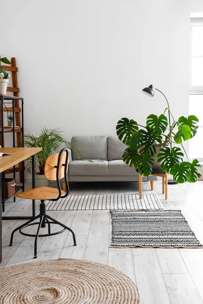 Interior of light office with sofa, workplace and Monstera houseplant