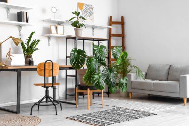 Kanepesi, işyeri ve Monstera bitkisi olan ışık ofisinin içinde.