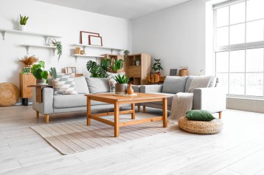 Oturma odasının içinde kanepeler ve Monstera bitkileri var.