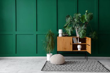 Oturma odasının içinde çekmeceler ve Monstera bitkileri var.