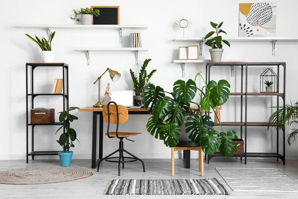 Interior of light office with workplace, shelves and Monstera houseplant