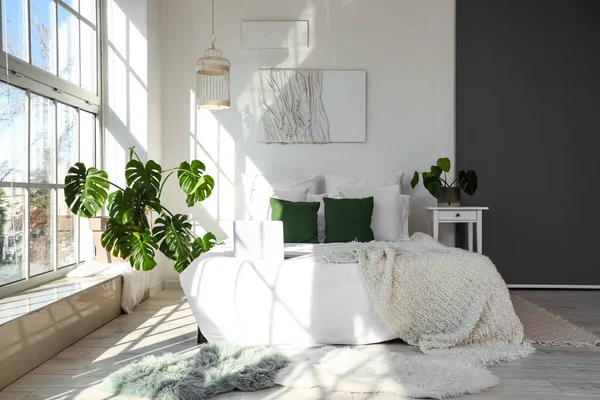 モンステラの観葉植物とベッド付きの光の寝室のインテリア — ストック写真