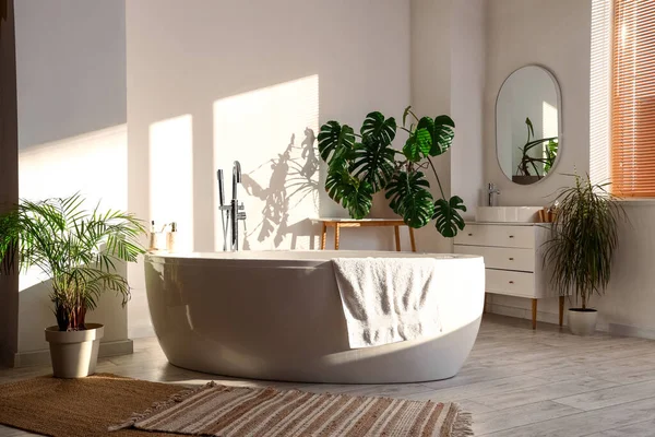 Interior Light Bathroom Bathtub Monstera Houseplant — Stock Photo, Image