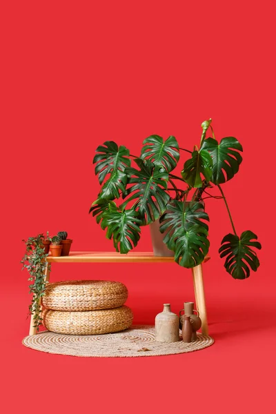 Masă Plante Casă Poufs Vase Fundal Roșu — Fotografie, imagine de stoc