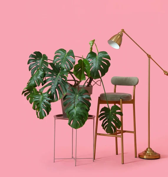 Table with Monstera, stool and lamp on pink background