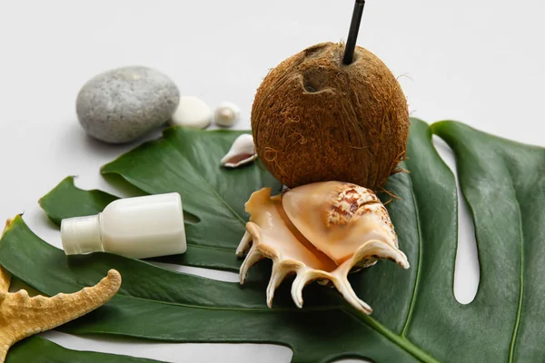 차단제 배경의 스타라 곁들인 코코넛 — 스톡 사진