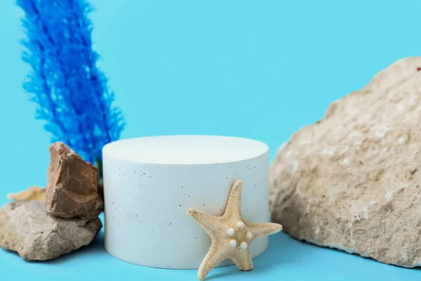 Decorative Plaster Podium Starfish Stones Seaweed Blue Background — Stock Photo, Image