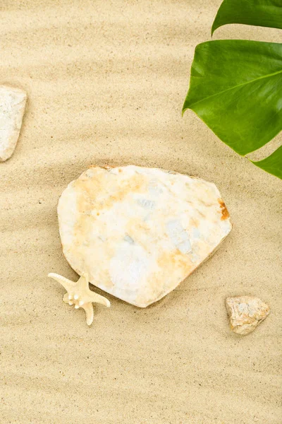 Decorative Stone Podium Starfish Tropical Leaf Sand — Stock Photo, Image