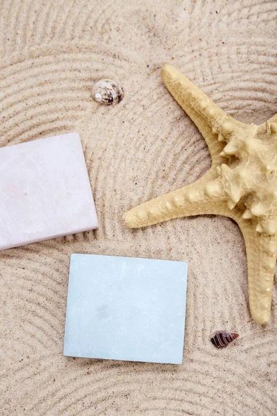 装饰石膏坛 海星和沙海贝壳 — 图库照片