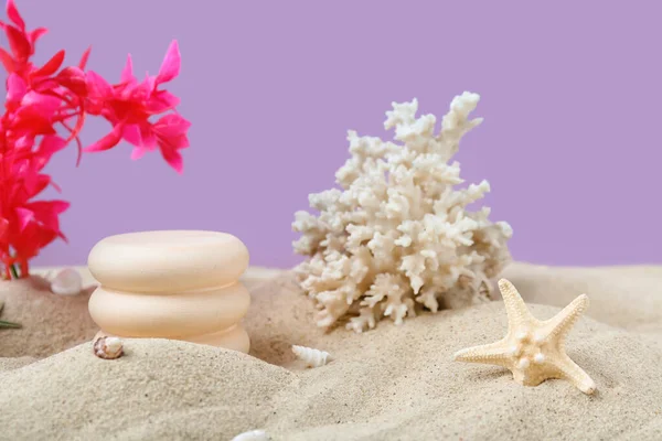 Decorative Plaster Podiums Seaweed Coral Starfish Sand Purple Background — Stock Photo, Image