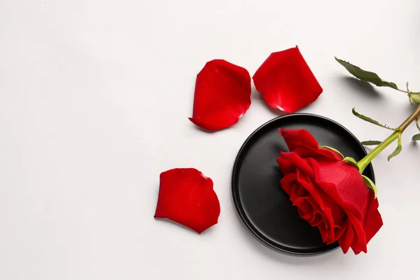 Δίσκος Όμορφο Κόκκινο Τριαντάφυλλο Και Πέταλα Λευκό Φόντο — Φωτογραφία Αρχείου