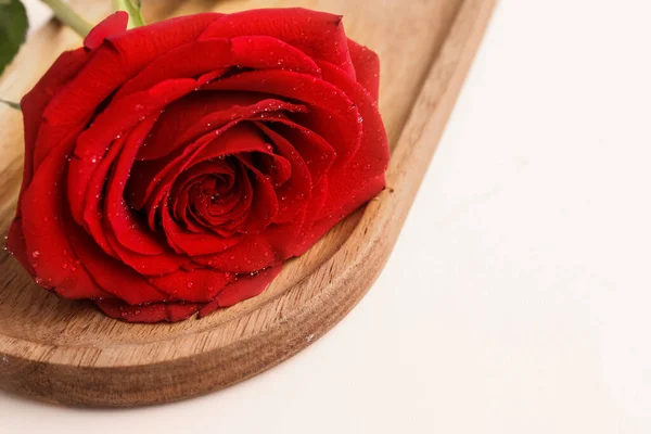 Board Beautiful Red Rose Light Background — Stock Photo, Image