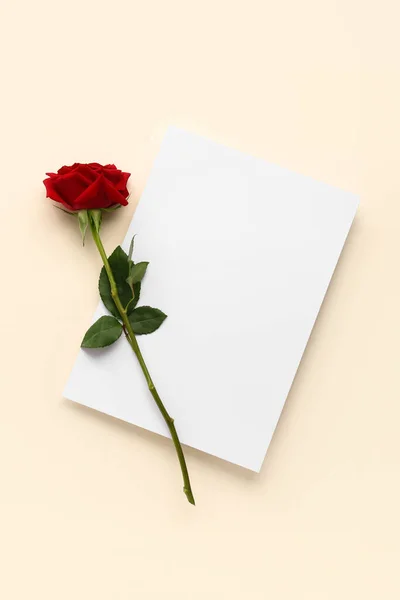 Красивая Красная Роза Светлом Фоне — стоковое фото