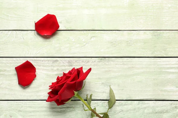 Beautiful Red Rose Petals Green Wooden Background — Stock Photo, Image