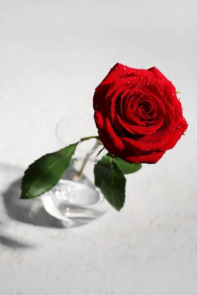 光の背景に美しい赤のバラの花瓶 — ストック写真